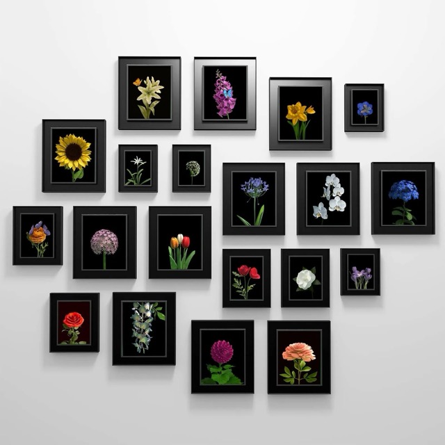 6686d0d811992669defbf74e_Bloom